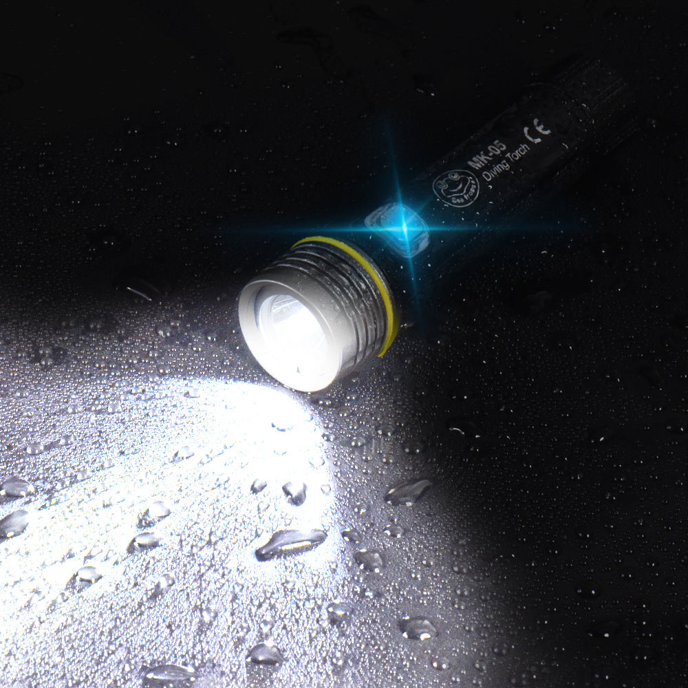 Diving Torch