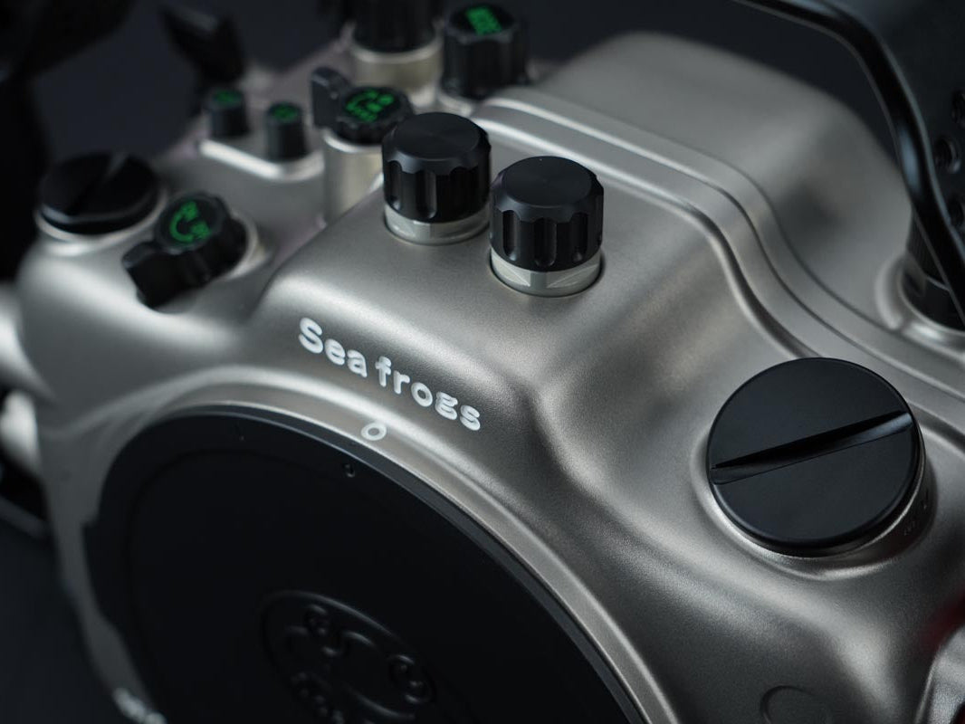 Close-up of a metallic engine component with 'Sea frogs' branding.