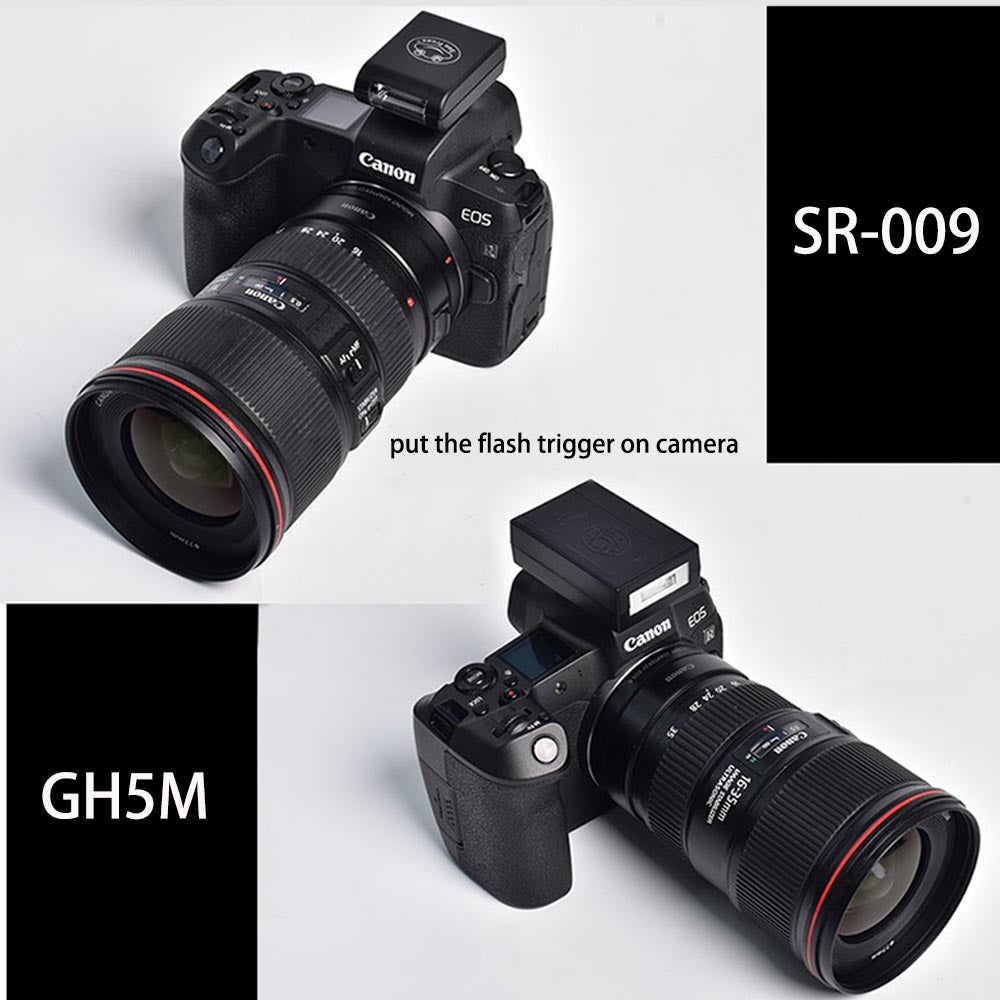 Frog Camera Sea frogs Camera Housing Flash Trigger SR009A High Speed Trigger Flash ...