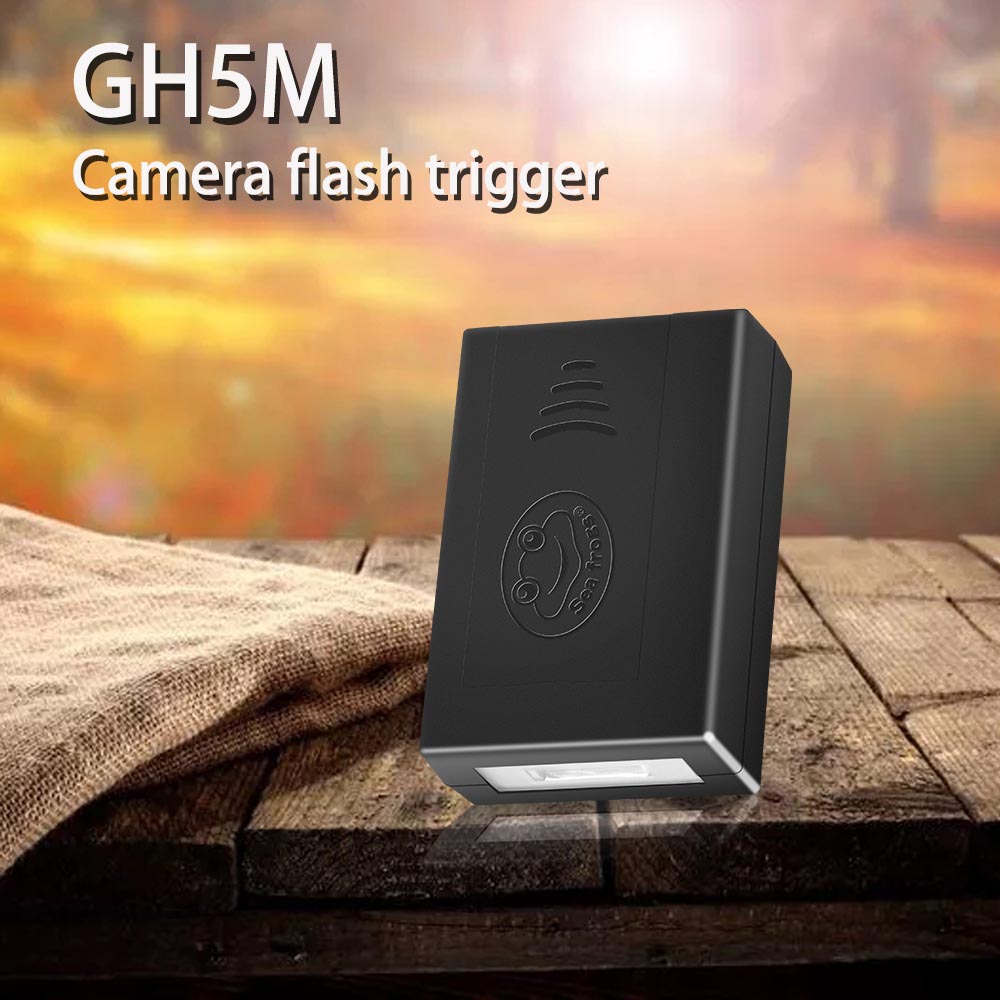 Frog Camera Sea frogs Camera Housing Flash Trigger SR009A High Speed Trigger Flash ...