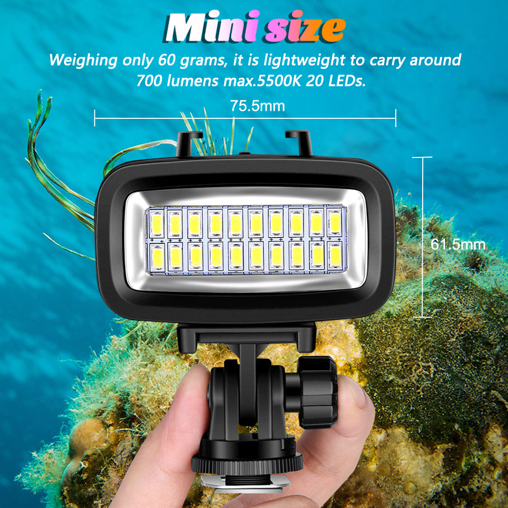 Sea Frogs SL-100 LED Underwater Light For Gopro Action Camera – Seafrogs