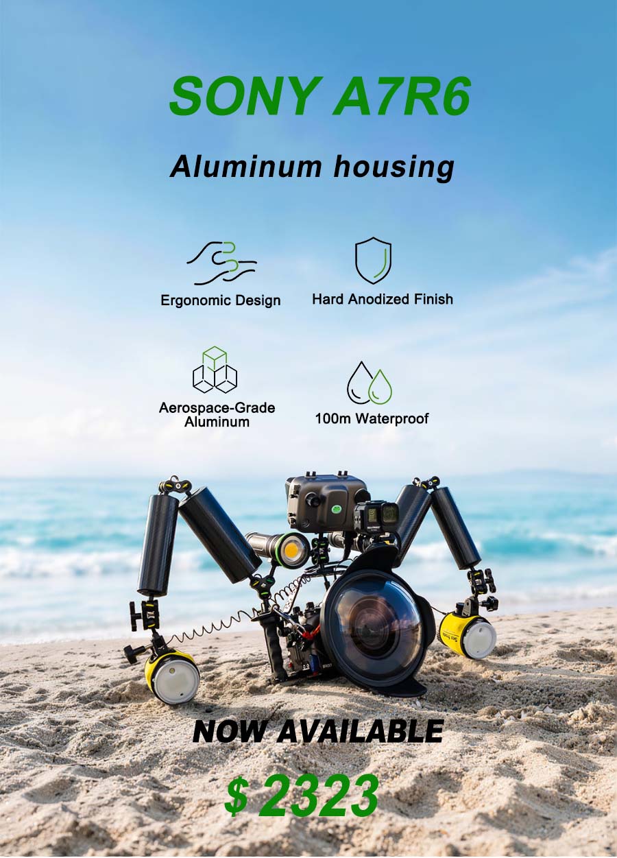 Seafrogs Official– Underwater Housing Gear for Major Brands